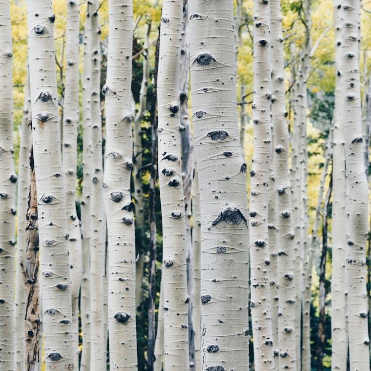 Scenic nature travel image